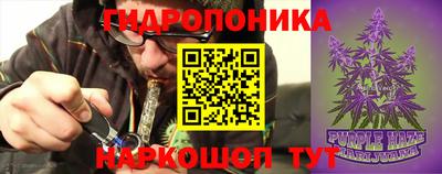 a pvp Обь