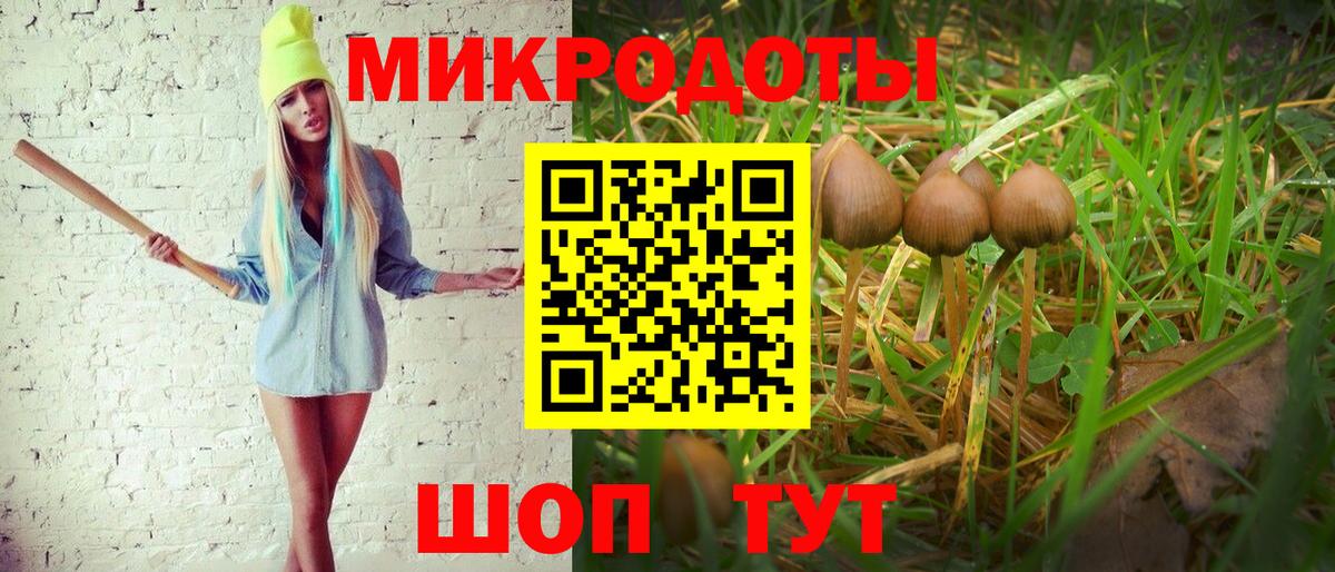 Псилоцибиновые грибы мухоморы Старая Купавна
