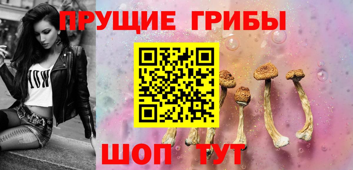 Старая Купавна  Псилоцибиновые грибы мицелий  Вход с VPN 